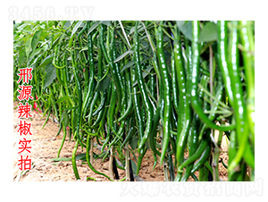 ��Դ����-�����N��-��Դ�r(n��ng)�I(y��)