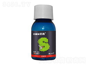 5%ʭ��������-��ֲ�Ïs��-��ֲ��