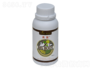 ���¸��o�������-����-��������