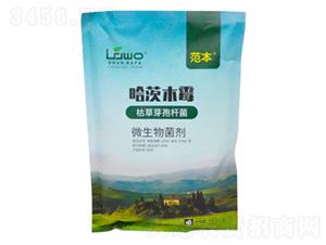 ����ľù����-����-��������