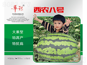 ���r(n��ng)��̖(h��o)-���ϷN��-��Դ�r(n��ng)�I(y��)