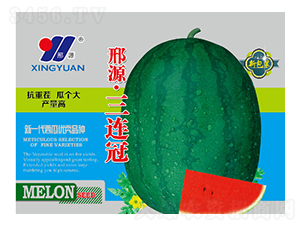 ���B��-���ϷN��-��Դ�r(n��ng)�I(y��)