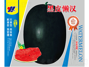 ��Ƥ�Нh-���ϷN��-��Դ�r(n��ng)�I(y��)