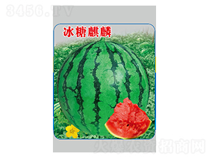 ��������-���ϷN��-��Դ�r(n��ng)�I(y��)