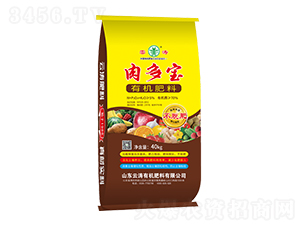 ������ЙC����-�Ɲ�