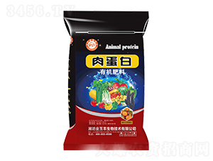 �⵰���ЙC(j��)����-�Ɲ�