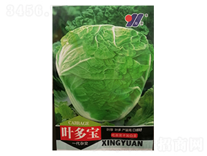 �~����-�ײ˷N��-��Դ�r(n��ng)�I(y��)