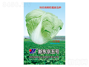 �|����̖(h��o)-�ײ˷N��-��Դ�r(n��ng)�I(y��)