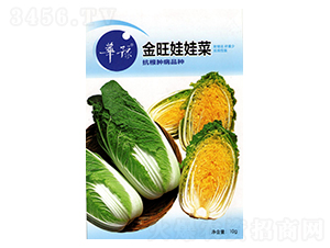 �������޲�-�ײ˷N��-��Դ�r(n��ng)�I(y��)