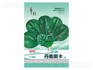 �����ڿ�-���˷N��-��Դ�r(n��ng)�I(y��)