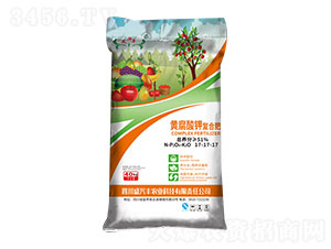 �S����⛏�(f��)�Ϸ�17-17-17-ʢ�S�׻���