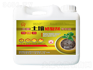 ��΢�����ޏ̈́�-��������