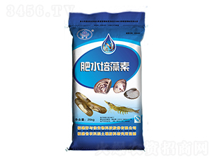 ��ˮ������-���c������