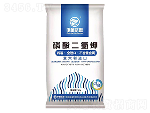 ��������-��ֲ(li��n)��