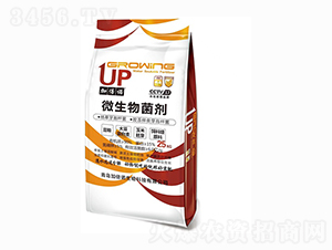 ΢�������25kg-������