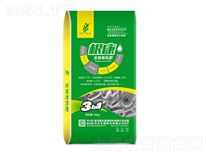 ���������ЙC(j��)��-��Ԫ��ʢ