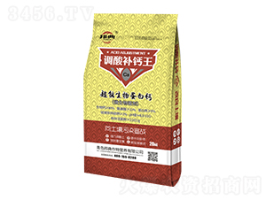 �{(di��o)���a(b��)�}��-���