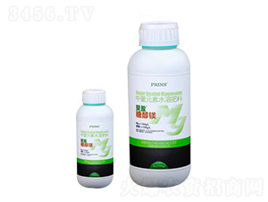 ��ӯ�Ǵ��V