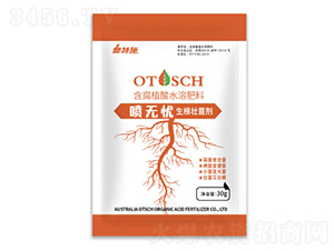 ���o�n�������焩-�W��ʩ