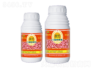 С����N��(zhu��n)��-�r(n��ng)��-�ɰ�����