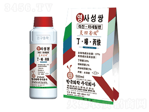 37%����ມ���Ȳ-�`��ʡ�p-�n��(gu��)�n��