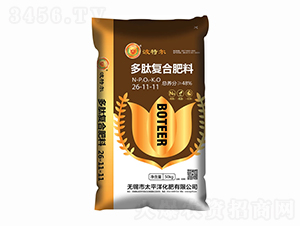 ���ď�(f��)�Ϸ���26-11-11-���ؠ�-̫ƽ�󻯷�