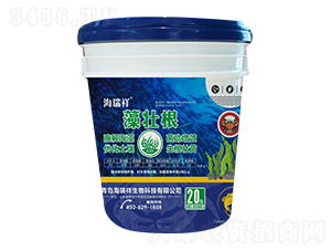 ��Ѹ�-����������