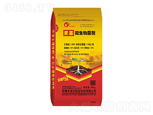 ̿��΢�������-���r(n��ng)�ʘI(y��)