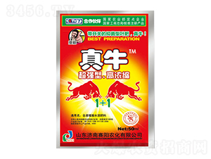 50������ţ-ِ�����