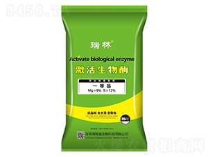 ��������ø-����-���������