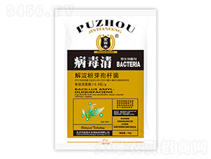 ������-�����S