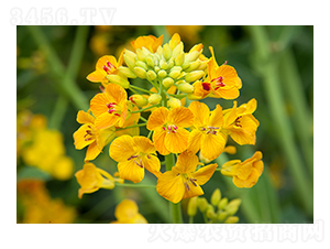 ��ɫ�Ͳ�-��̷N�I(y��)