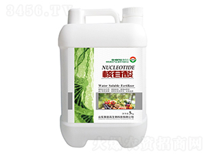 ������-ʩ�۸�