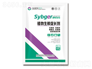 ֲ���������L(zh��ng)��-ʩ�۸�