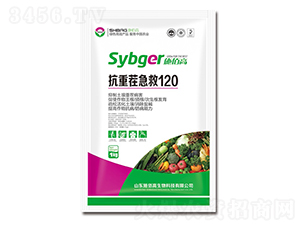 ���ز缱��120-ʩ�۸�