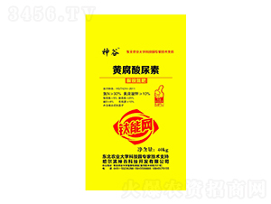 �S�������أ����@���ʣ�-���-��ţ�r(n��ng)�I(y��)