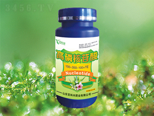 ���׺�����100-300-100+TE-�ٿ��S