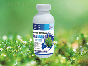 ����G�~��¶-�ٿ��S