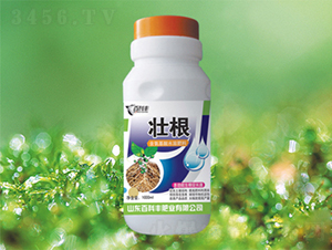 �Ѹ�-�ٿ��S