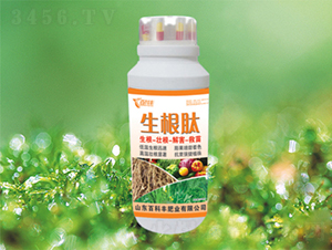 ������-�ٿ��S