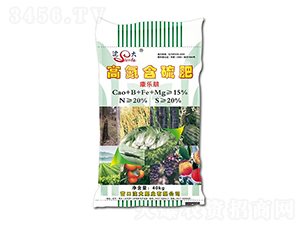 �ߵ������-������-���ʘI(y��)