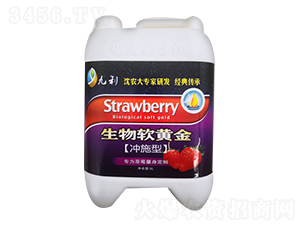 �_ʩ������ܛ�S��-�����ʘI(y��)