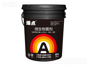 ΢�������-���c����