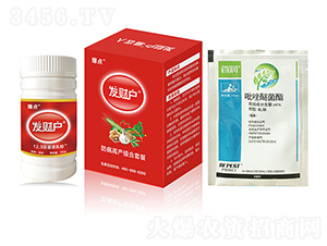 �����߮a(ch��n)�M���ײ�-�l(f��)ؔ(c��i)��-���c(di��n)����