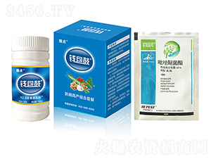 �����߮a(ch��n)�M���ײ�-�X����-���c(di��n)����