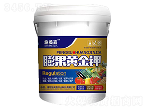 ����S���-ʩ����