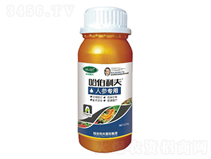 �˅�����-��������