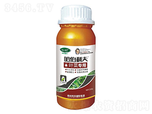 �~�ˌ���-��������