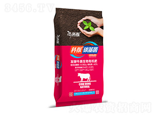 �l(f��)��ţ�S�����ЙC��-���r(n��ng)�d̩