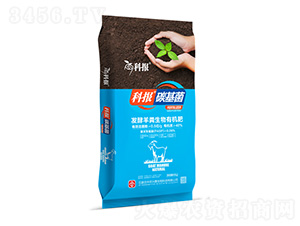 �l(f��)����S�����ЙC(j��)��-�ƈ�(b��o)̼����-���r(n��ng)�d̩